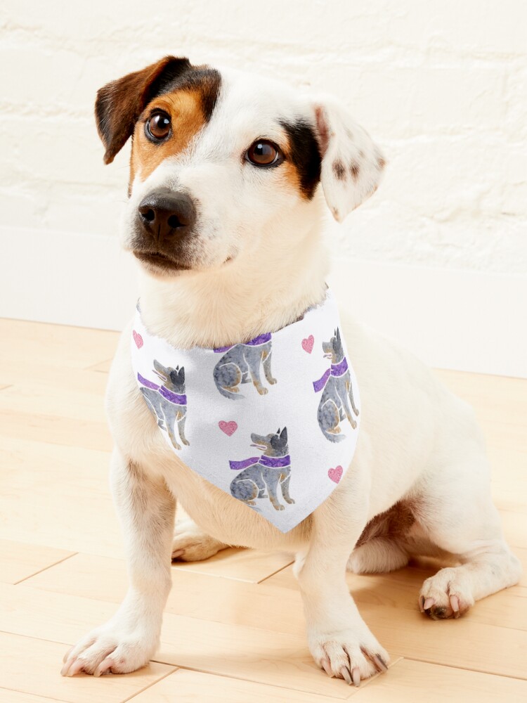 Blue heeler bandana best sale