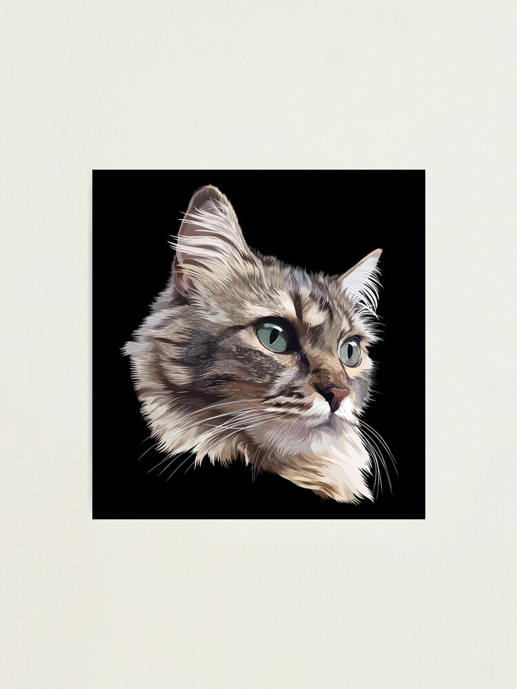 Cat PFP | Photographic Print