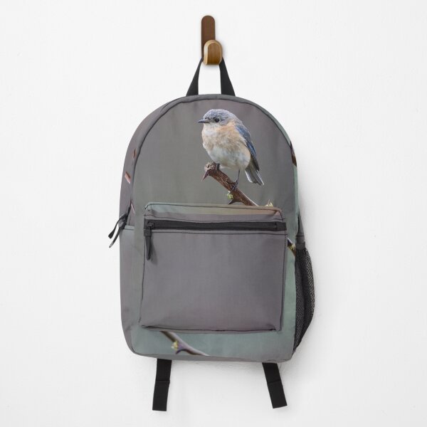 Item preview, Springtime Bluebird designed and sold by LisaNaturePhoto.