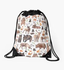 Woodland Animals Drawstring Bag