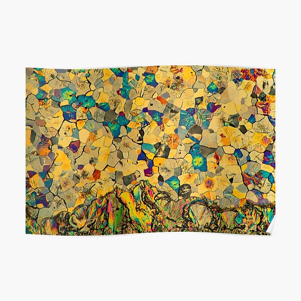 Trimethyl Tesselated Mosaic Poster