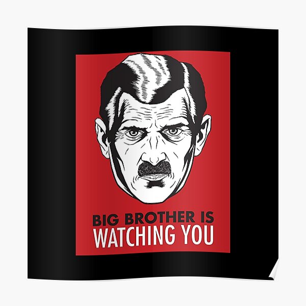 Big brother is watching you poster - Unser Gewinner 