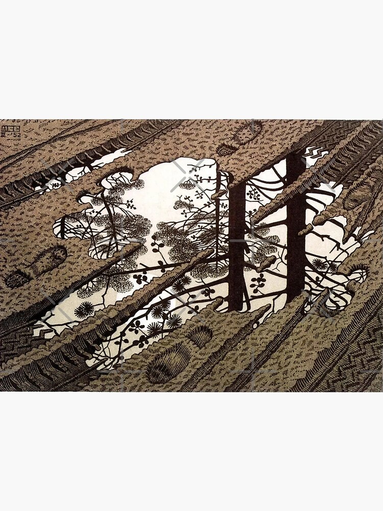 Disover Puddle by Maurits Cornelis Escher Premium Matte Vertical Poster