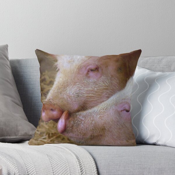 Item preview, Hey Babe! Pigs - Mosburn Southland NZ designed and sold by AndreaEL.