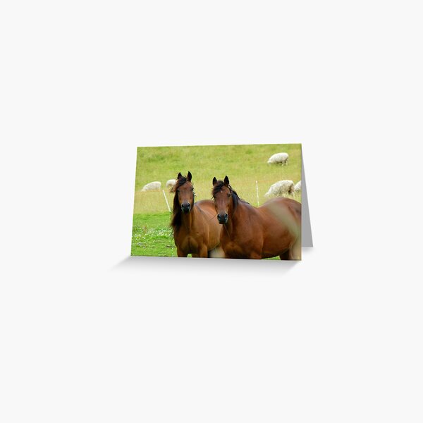 Aperçu de l'œuvre  une sous-espèce de la famille des équidés. Le cheval a évolué au cours des 45 à 55 derniers millions d'années, passant d'une petite créature à plusieurs doigts à une grande créée et vendue par AndreaEL.