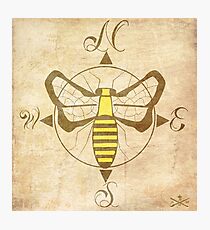 Napoleons Compass Photographic Print