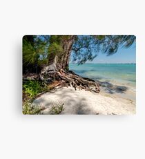 At the Pass Canvas Print