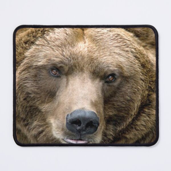 Item preview, Brown Bear designed and sold by Erika Kaisersot.