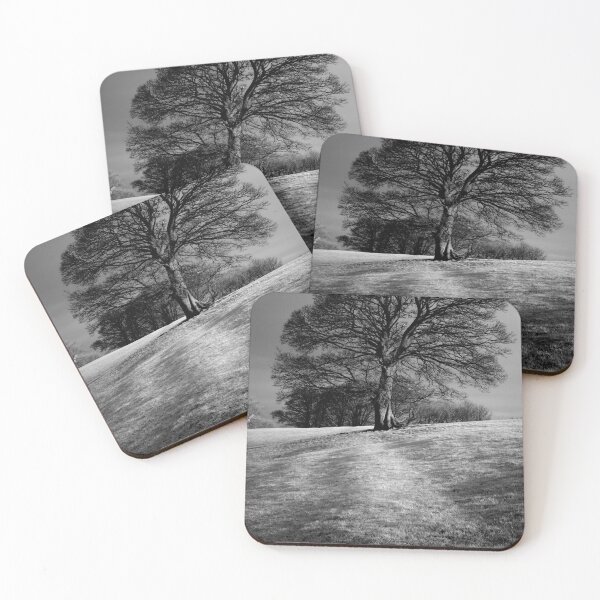 Item preview, Tree Shaped by the Wind designed and sold by JonDelorme.
