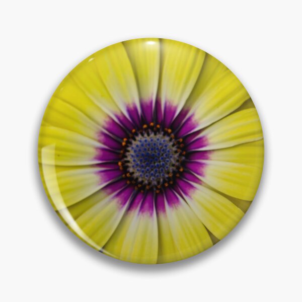 Item preview, Cape Daisy designed and sold by nigellacottage.