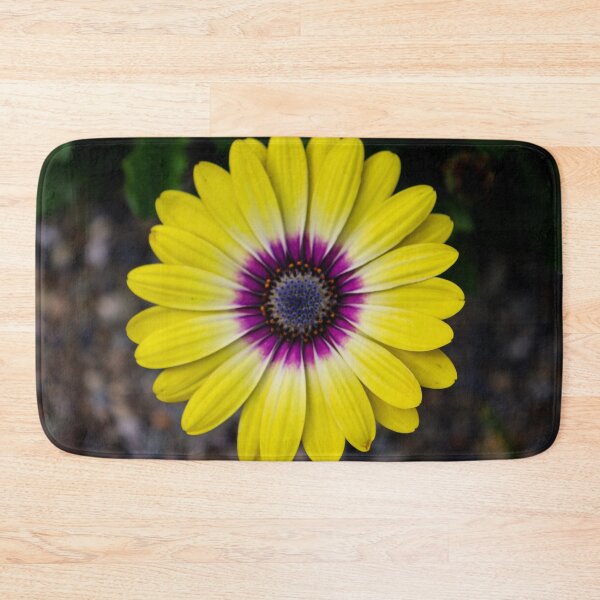 Item preview, Cape Daisy designed and sold by nigellacottage.
