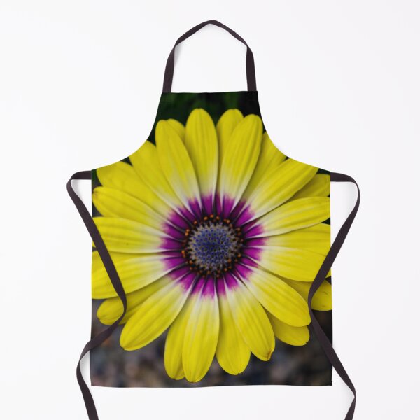 Item preview, Cape Daisy designed and sold by nigellacottage.