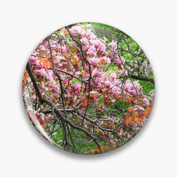 Item preview, The Colours of Spring designed and sold by PhotosBySusanne.