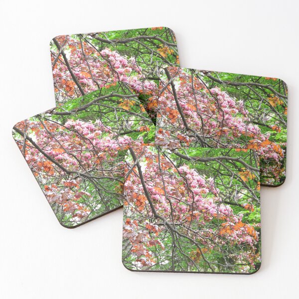 Item preview, The Colours of Spring designed and sold by PhotosBySusanne.