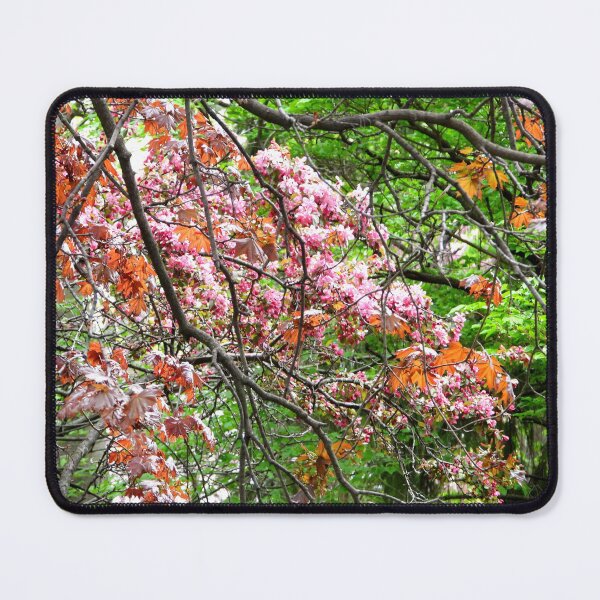Item preview, The Colours of Spring designed and sold by PhotosBySusanne.