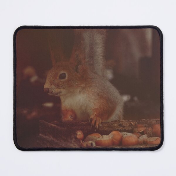 Item preview, Squirrel in the feeder designed and sold by EvgeniiV.