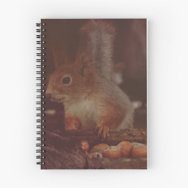 Item preview, Squirrel in the feeder designed and sold by EvgeniiV.