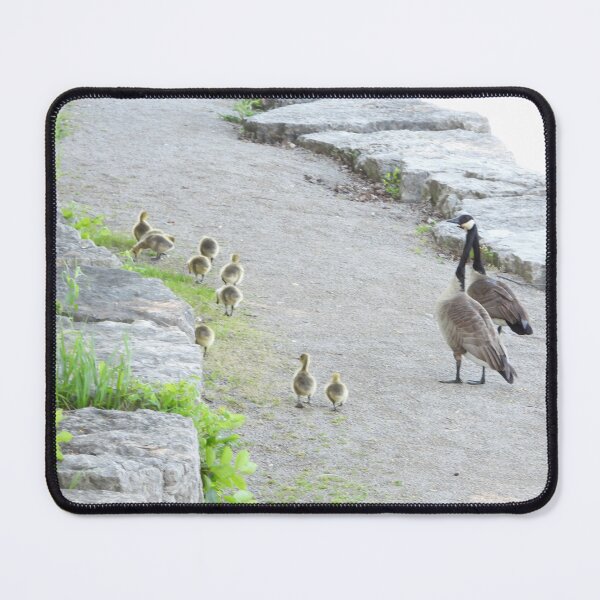 Item preview, A Family Outing designed and sold by PhotosBySusanne.