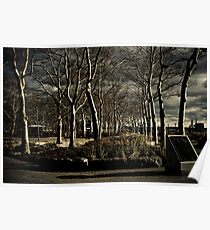Trees Poster