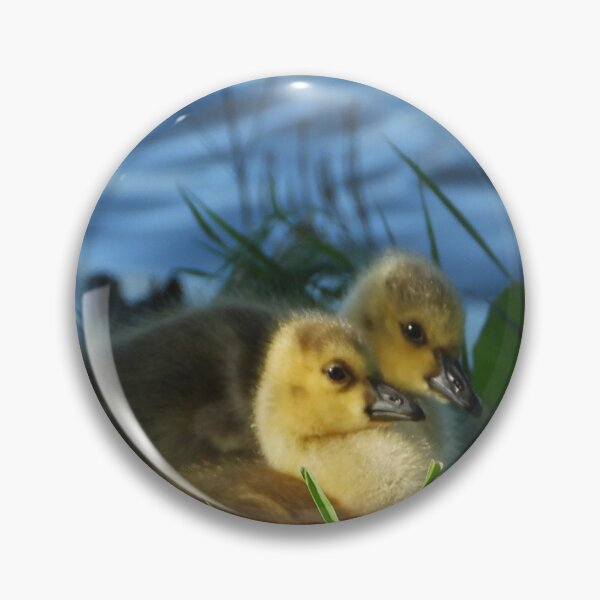 Item preview, Two little Goslings designed and sold by PhotosBySusanne.