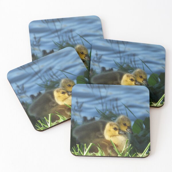 Item preview, Two little Goslings designed and sold by PhotosBySusanne.