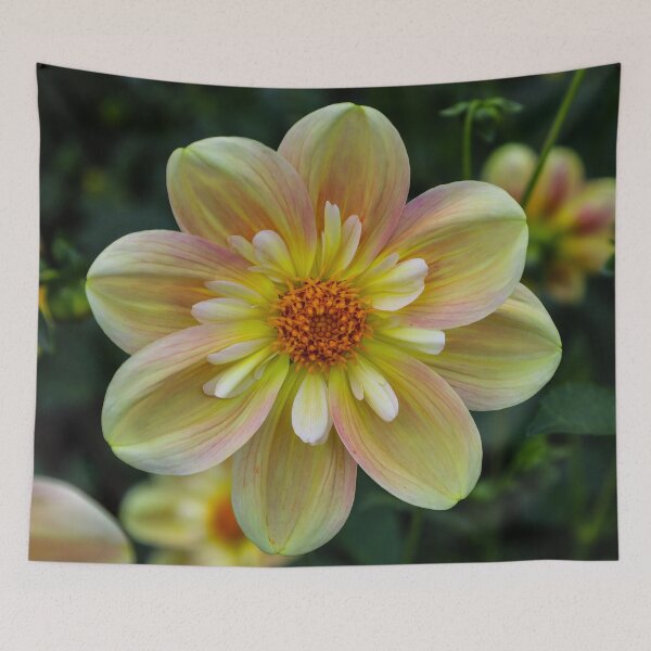 Item preview, Dahlia of Ireland designed and sold by nigellacottage.