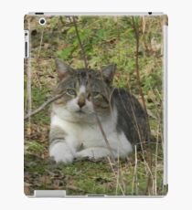 You're Scaring the BIRDS! - View Larger iPad Case/Skin