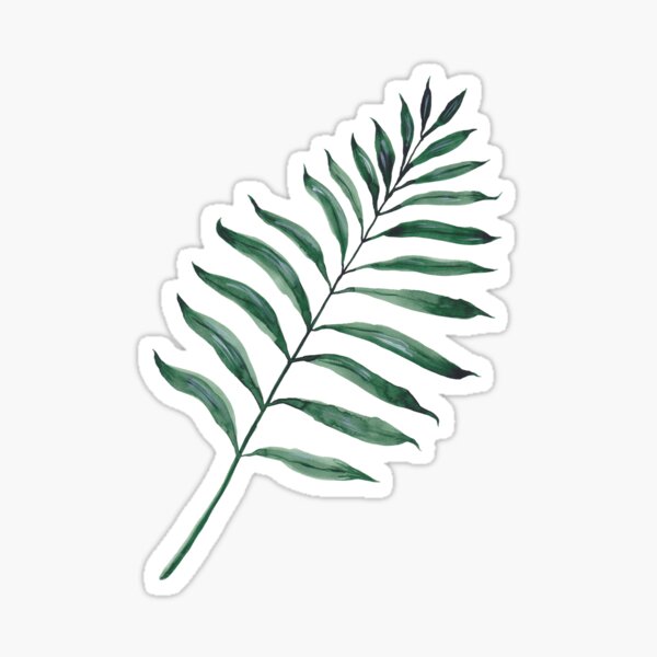 Tropical Greenery - Palm Tree Leaf Sticker