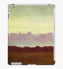 horizon horizon iPad Case/Skin