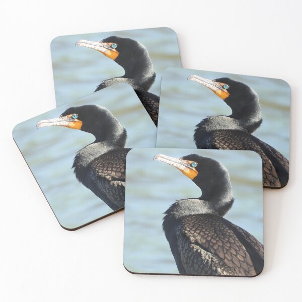 Item preview, The Colours of the Cormorant designed and sold by PhotosBySusanne.