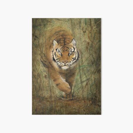 Le Tigre Impression rigide