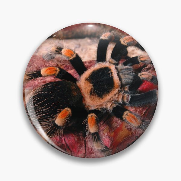 Item preview, Tarantula designed and sold by cz1207.