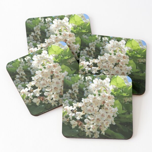 Item preview, Natur, Blumen, Blüten, weiss, Fotografie, BebiCervin designed and sold by BebiCervin.