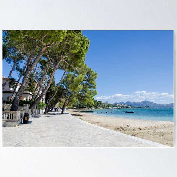 Puerto Pollensa Pine Walk 12 Poster