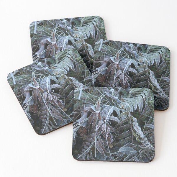 Item preview, Nature, Leaves, Frost, Autumn, Winter, Photography, BebiCervin designed and sold by BebiCervin.
