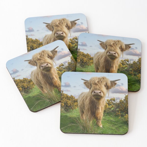 Item preview, Young Highland Cow designed and sold by rawshutterbug.