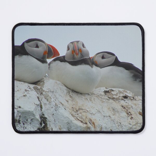 Item preview, Having A Snuggle - Puffins designed and sold by altonbear.