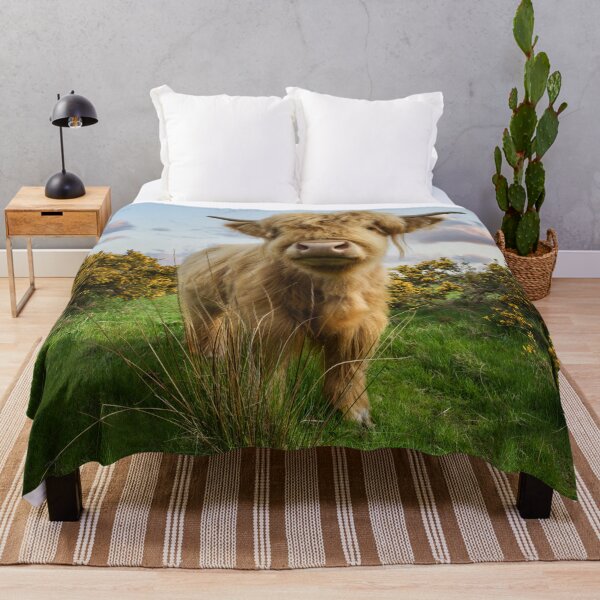 Item preview, Young Highland Cow designed and sold by rawshutterbug.