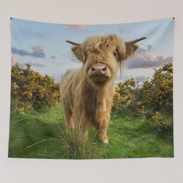 Item preview, Young Highland Cow designed and sold by rawshutterbug.