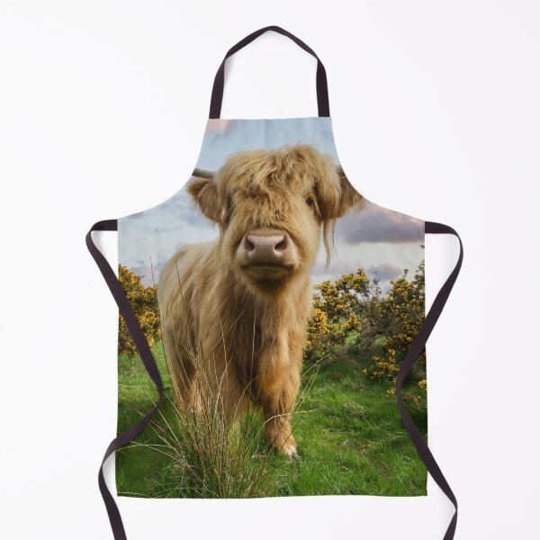 Item preview, Young Highland Cow designed and sold by rawshutterbug.