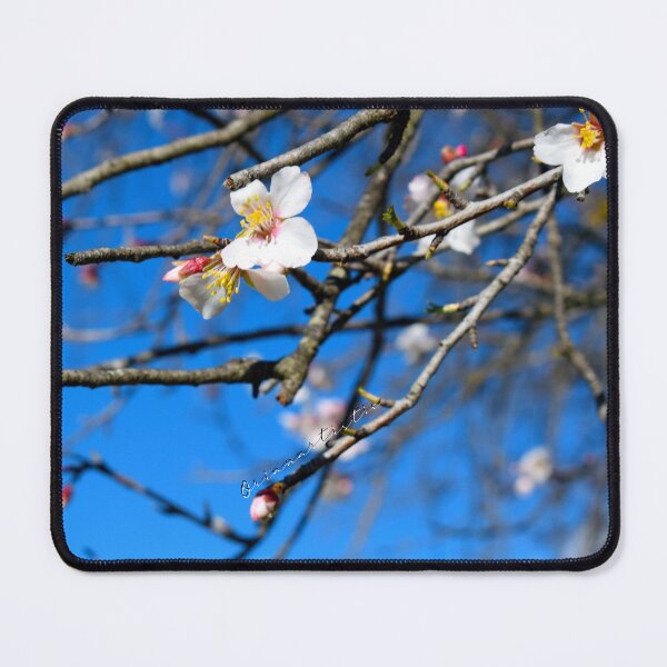 Item preview, Fowers (photo) designed and sold by OrianArtistic.