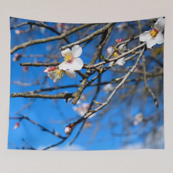 Item preview, Fowers (photo) designed and sold by OrianArtistic.