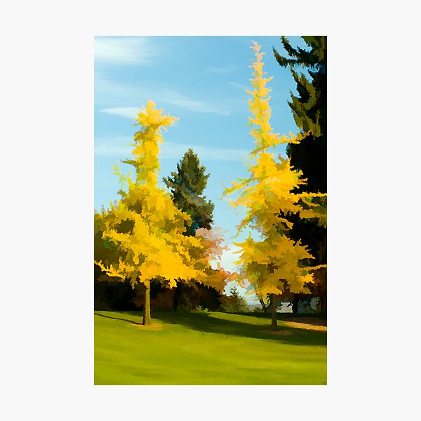 Golden Autumn Photographic Print