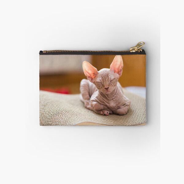 Item preview, Harlem el sphynx designed and sold by reejasp.