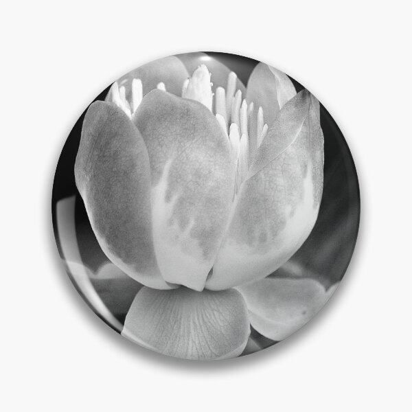 Item preview, You make me feel brand new -Tulip Tree Flower by heidiannemorris © designed and sold by FOLK ART FUSION.
