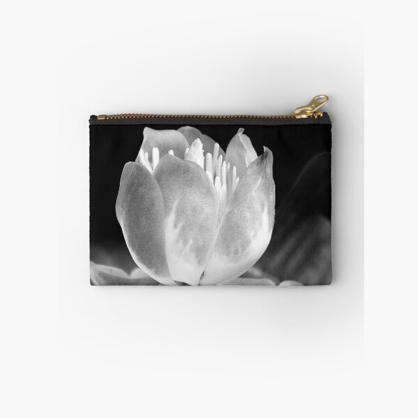 Item preview, You make me feel brand new -Tulip Tree Flower by heidiannemorris © designed and sold by FOLK ART FUSION by heidiannemorris.