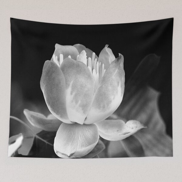 Item preview, You make me feel brand new -Tulip Tree Flower by heidiannemorris © designed and sold by FOLK ART FUSION by heidiannemorris.