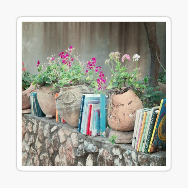 Item preview, Rosh Pina, Israel. Little Free Library. designed and sold by UltraQuirky.