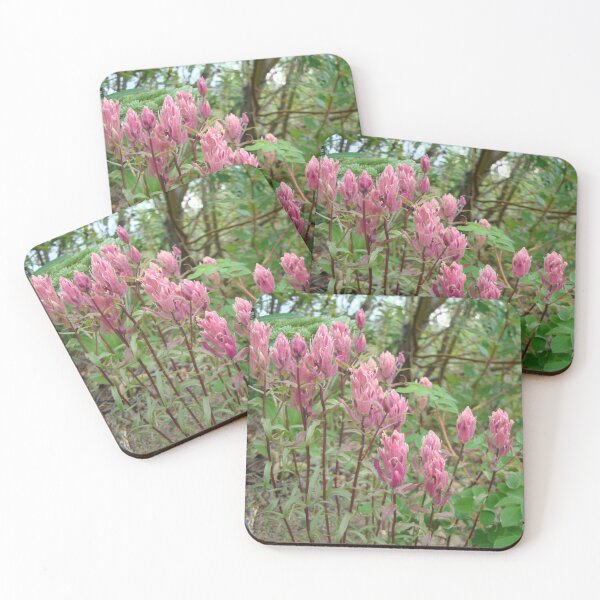 Item preview, Nature, USA, Alaska, Blumen, rosa, Fotografie, BebiCervin designed and sold by BebiCervin.