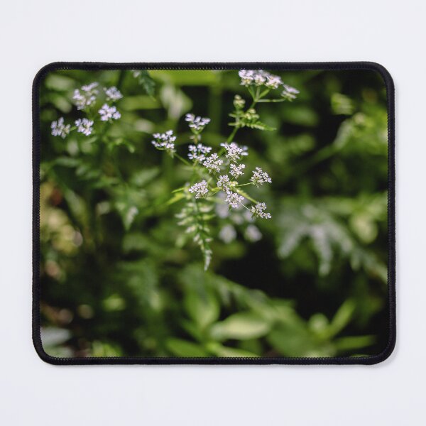 Item preview, Looking - A View  designed and sold by Carl Gaynor.
